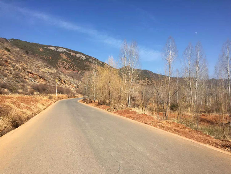 真的很 “公路之歌”