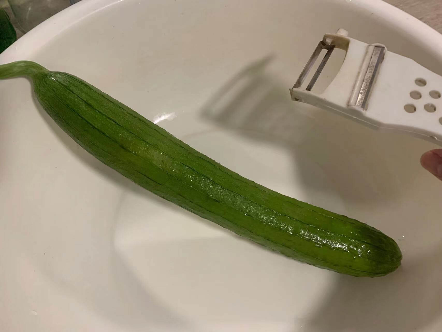秋瓜