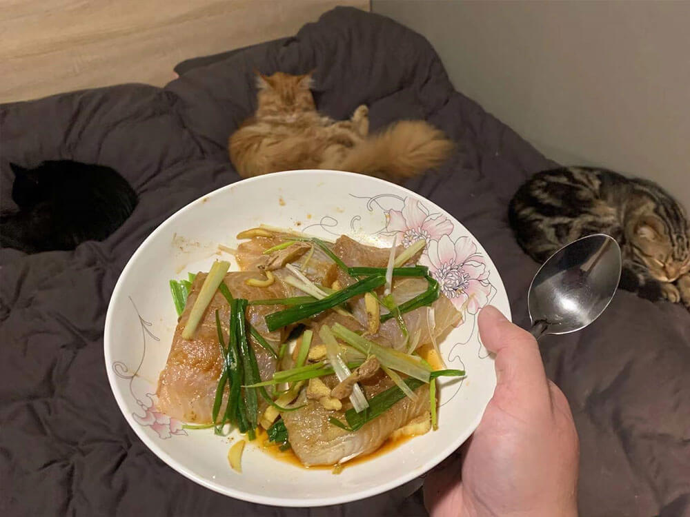 放在三只猫看不到的地方
