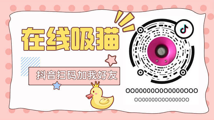 猫咪影像