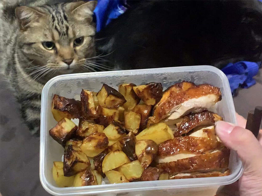哈哈哈诱惑我家弟弟
